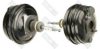 GIRLING 4110933 Brake Booster